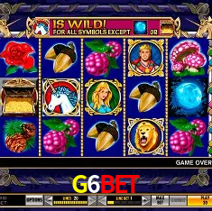 Descubra o Mundo do Cassino Online com G6BET